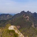 서대산사계