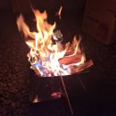 숲속의 쉼터 | 🛖 미즈캠핑 - 연천 "숲속의쉼터" 키즈캠핑장