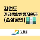 강릉시청(일자리경제과) 이미지