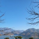 미라실로 이미지