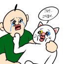 새천년건강한약국 이미지