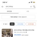 조이클린 이미지