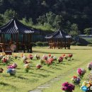 의성군시설관리사업소 이미지