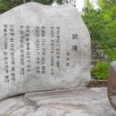 그림나무 이미지