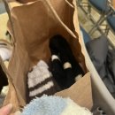 지윤목장 이미지
