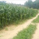 삼거2리 마을회관 이미지