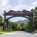 댕댕아 이미지
