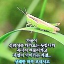 나이별 이칭 별칭 ㅡ어디쯤 왔을까ㅡ 이미지