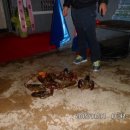 연곡저수지 이미지