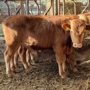 형우농장 이미지