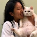 지성동물병원 이미지