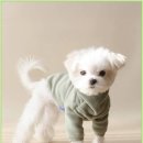 견생스타일 이미지