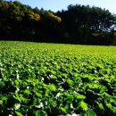 강림축산 이미지