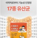 휴앤케어 | 🐶 장 건강 케어! 휴앤독 유산균스틱 후기 🧡