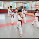 최강태권도 이미지