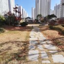 중흥1차114부동산공인중개사 네이버블로그