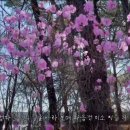 보켈토브 네이버블로그