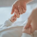 마이다스2 이미지