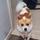 앞섬농장 이미지