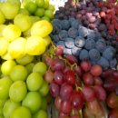 송산농장 이미지