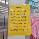 보물섬어린이집 | 강원 최대규모 유아복 아동복 주니어복까지 춘천 보물섬 인생아동복