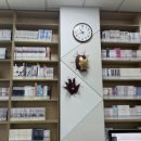 유튜버 꿈나무 이미지