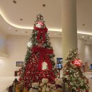 벨메르 바이 한화호텔앤드리조트 이미지