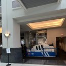 그린태권도 | 포틀랜드 쇼핑 아디다스 임직원 스토어(Adidas Employee Store) 아디다스 재팬 태권도레이스 내돈내산 리뷰