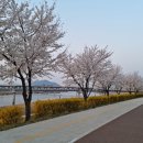 축제광장 및 수변공원 이미지