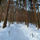 GS25소답드림점 | ⛰️한라산 백록담 후기(관음사 출발 성판악 하산)