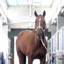 필 소 굿 이미지