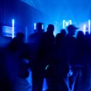 Beauty in Dog's 이미지