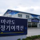 방어축제거리 이미지