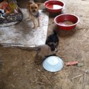 정금농장 이미지