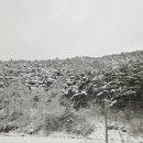 강천산모텔 이미지