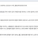 한천회관 | 노원구 이름의 유래와 역사, 문화유산