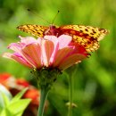 김인수농장 이미지