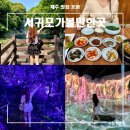 오뚝식당 | 제주도 서귀포 가볼만한곳 제주 성산일출봉 오분자기 맛집 포함 BEST