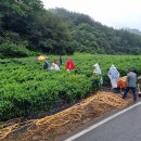 청기면사무소 이미지