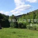 스와니 이미지
