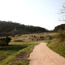 고창고인돌박물관 이미지