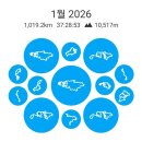 970 | 가민 포러너 970 사용후기 (feat.피트니스 연령)