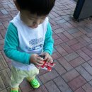 소꿉천지 이미지