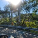 CU 홍천내면점 | 홍천나들이 EP.04 홍천은행나무숲 단풍놀이 후기