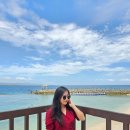 에그드랍 수영점 | 두짓타니 세부 리조트 추천 객실 수영장 조식 후기