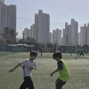 민족사관태권도 이미지