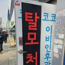 코코이비인후과의원 이미지