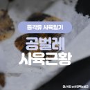판다킹 | 250108 우리집 공벌레 사육일기 :: 더쥬 송파점에서 그리즐리베어와 핑크 판다킹을 입양했어요! (택배후기)