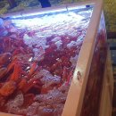 건강나라 모텔 이미지