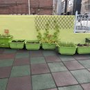 구립 아이솔 어린이집 이미지